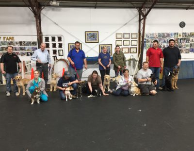 Puppy Kindergarten