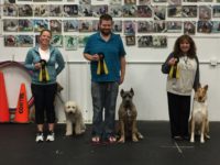 CGC Graduates - October 2016