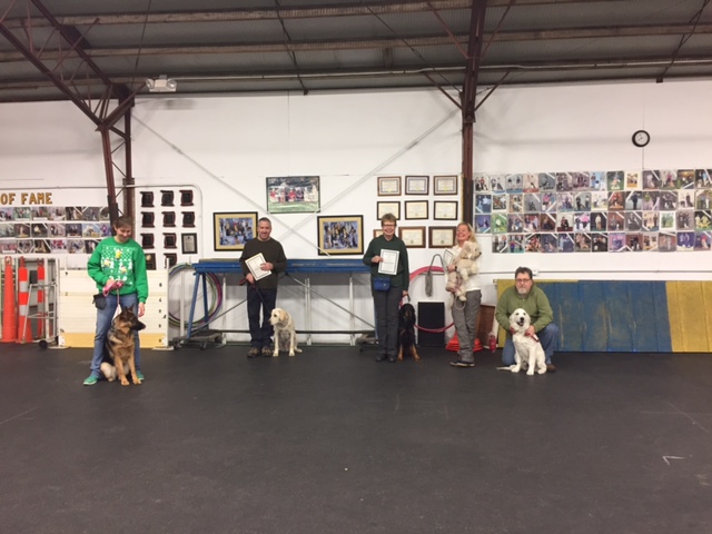 Advanced Puppy Grads, December 2016