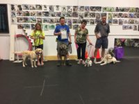 June 21 Advanced Puppy Graduating Class