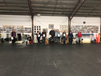 Advanced Puppy Class 11/01/2017