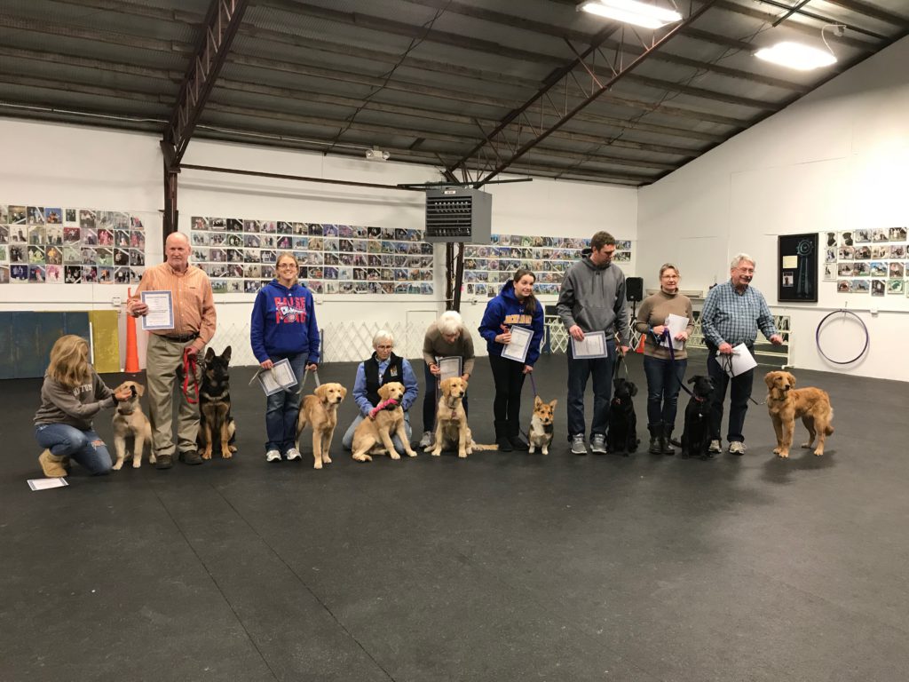 Advanced Puppy Grads (December 2017)