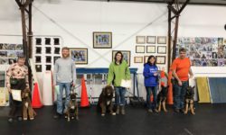 Advanced Puppy Class Graduation March 2018