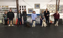 Puppy Class Graduation March 2018