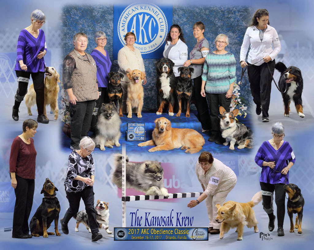 The Kanosak Crew at the 2017 AKC Classic, Orlando Florida.