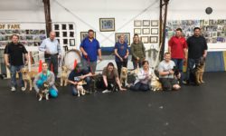 Puppy Kindergarten 2018_05_05 Graduation