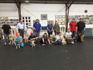 Puppy Kindergarten 2018_05_05 Graduation