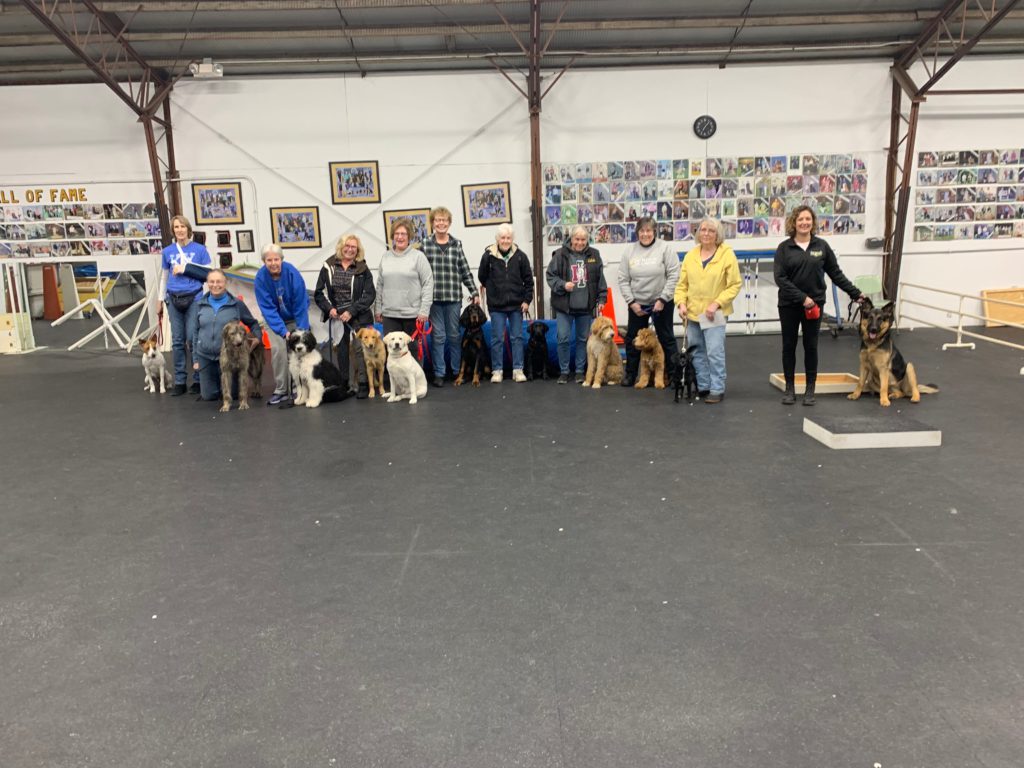 Advanced Puppy Grads - January 2020