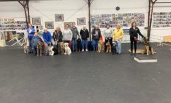 Advanced Pupppy Graduates - January 2020