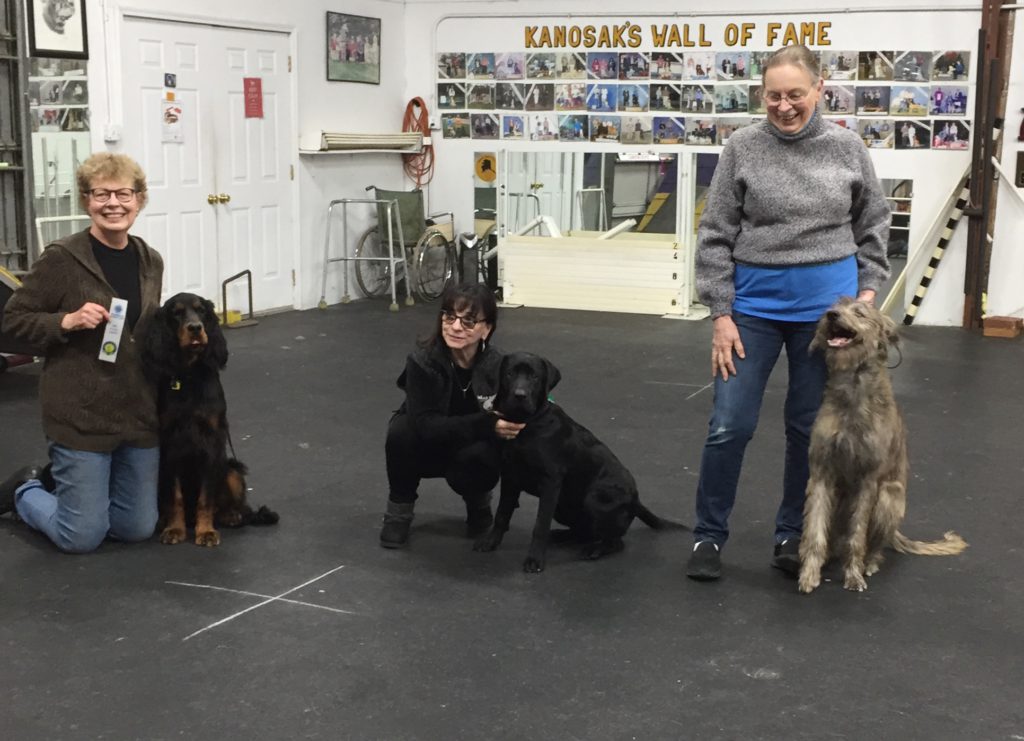 AKC Star Puppy Certification at Kanosak 3/12/2020