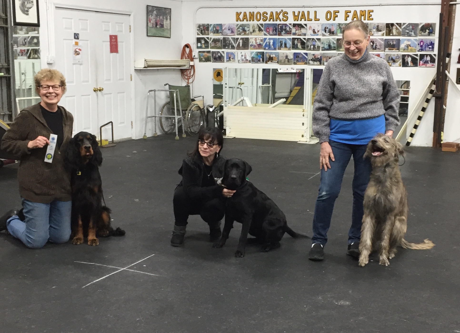 Akc star puppy certification kanosak canine training