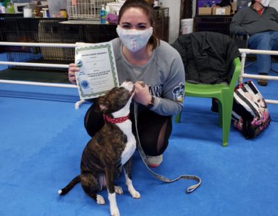 Advanced Puppy Graduates!