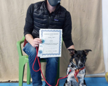 Advanced Puppy & Trick Dog Graduates