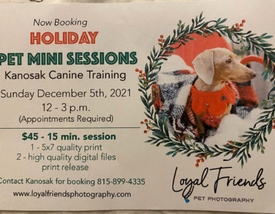 Holiday Pet Pictures!