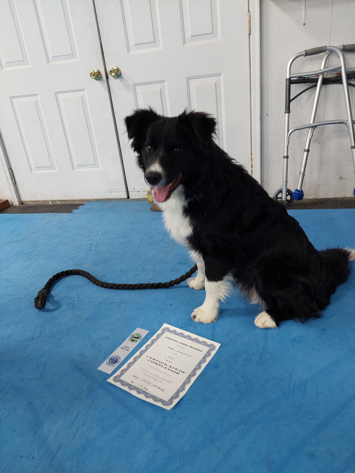 Trick Dog Graduates - January 2022