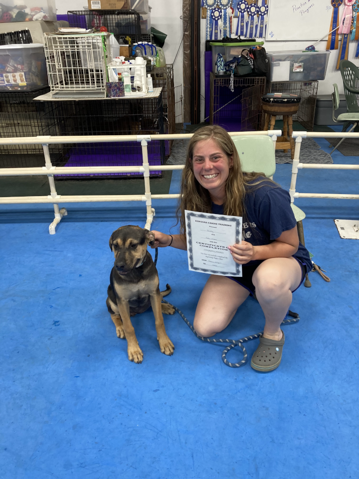 Puppy Kindergarten, May 2022