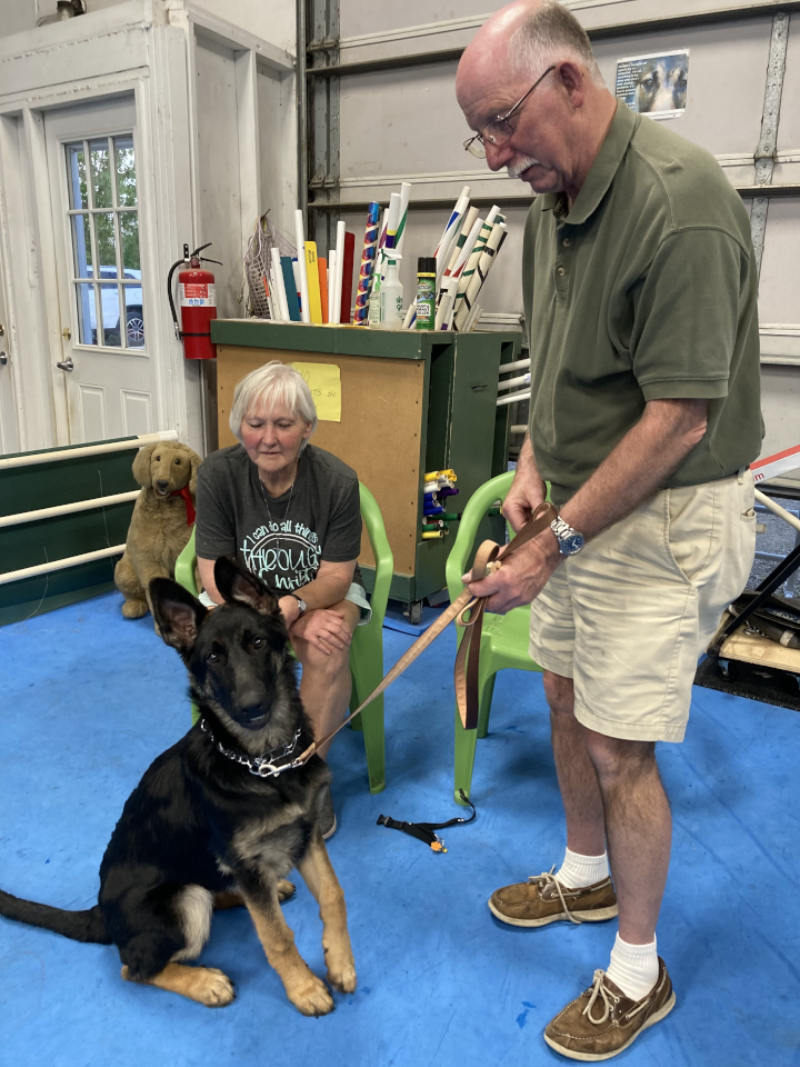 Puppy Kindergarten, May 2022