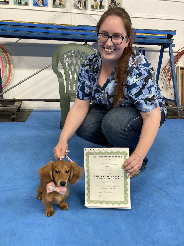 Puppy Kindergarten, May 2022