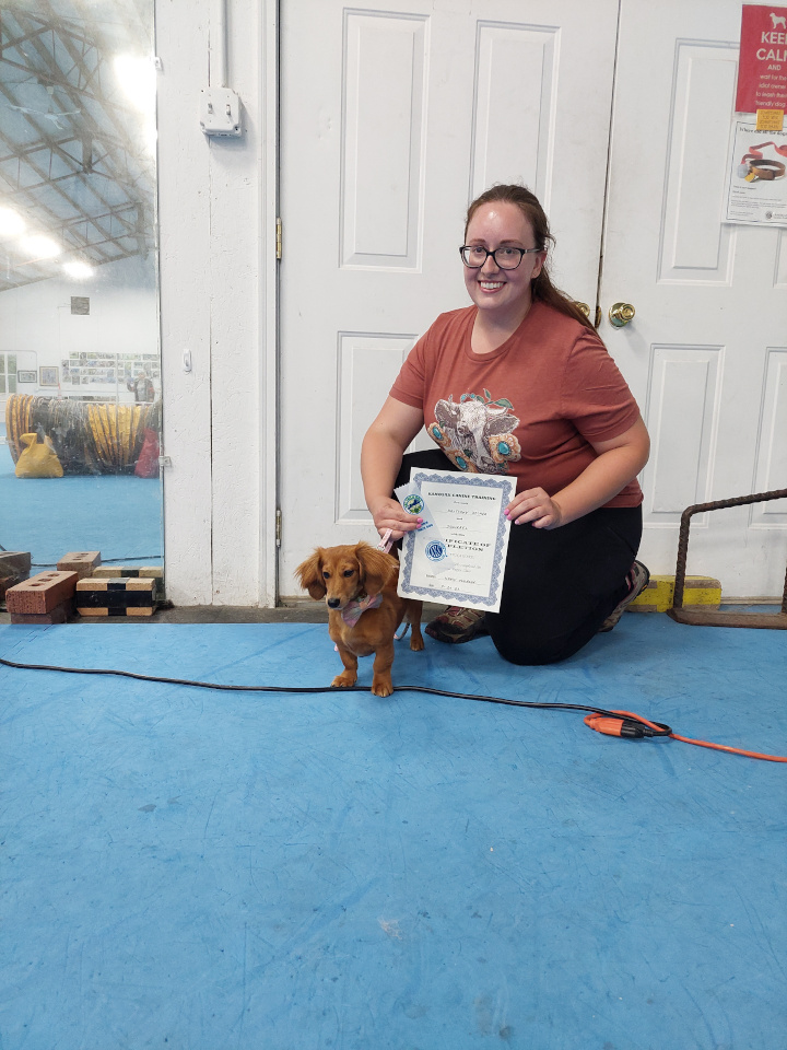 Advanced Puppy & Trick Dog Graduates