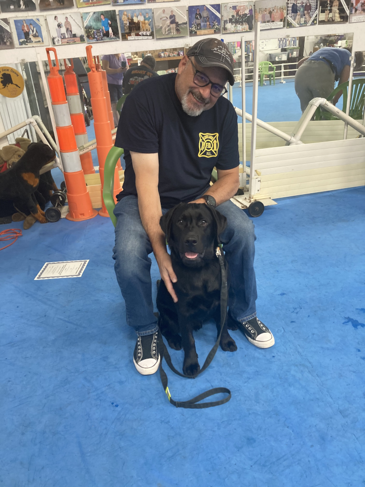 Puppy Kindergarten July 2022