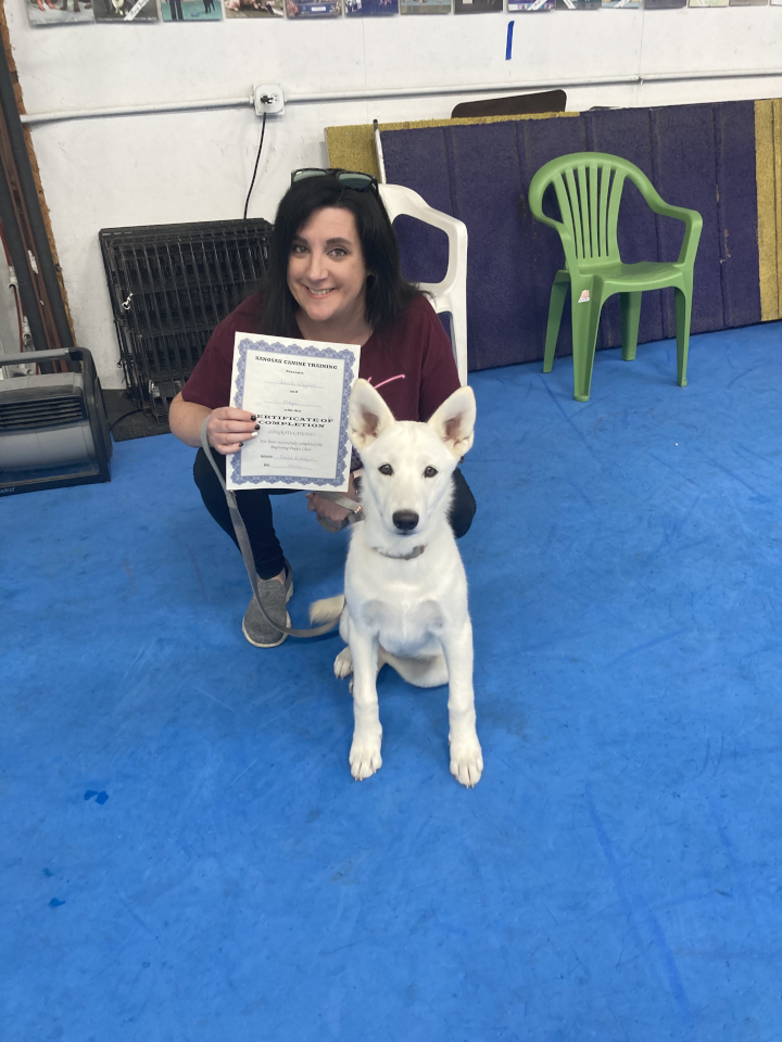 Puppy Kindergarten July 2022