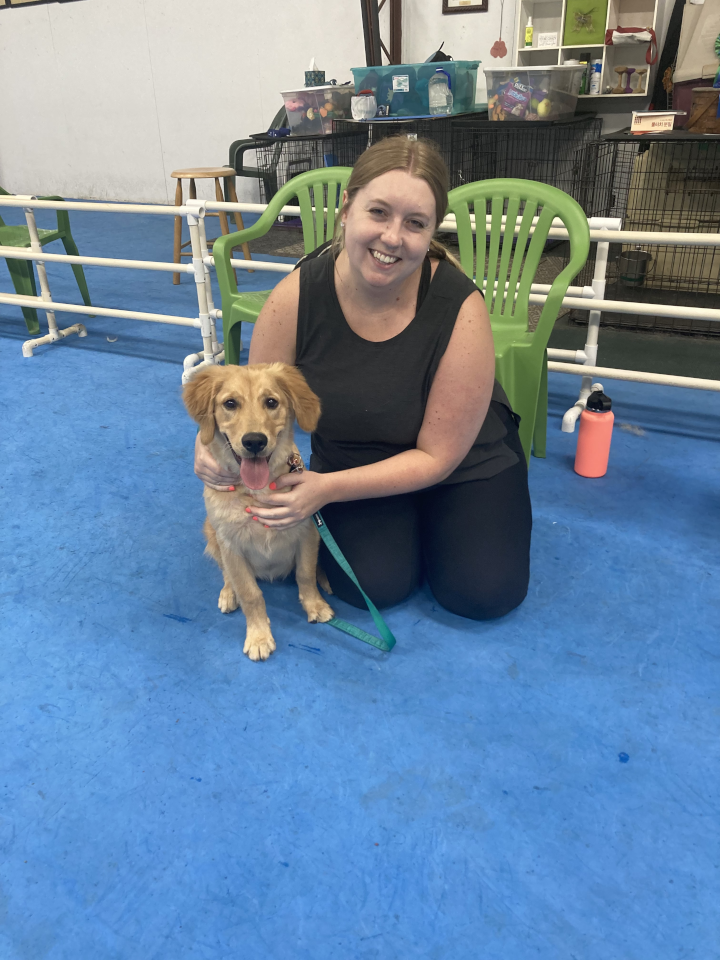 Puppy Kindergarten July 2022
