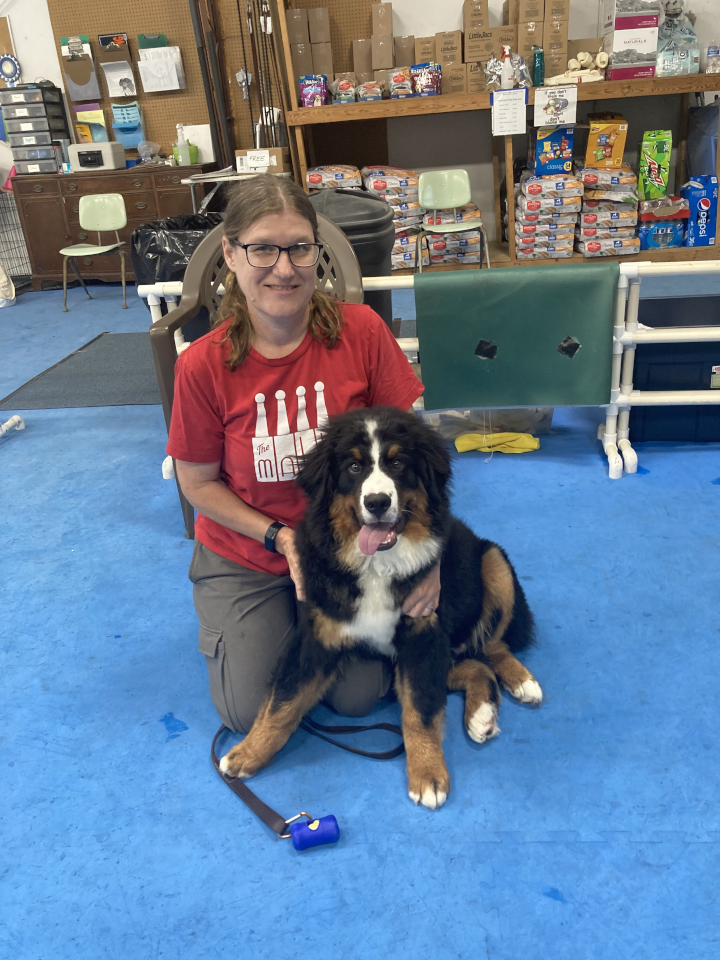 Puppy Kindergarten July 2022