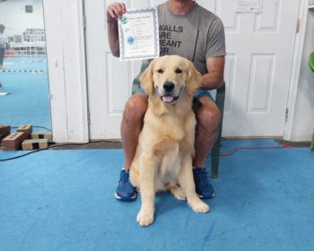 Advanced Puppy & Trick Dog Graduates - September 2022