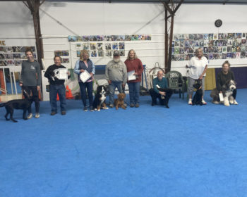 Puppy Kindergarten Grads - September 2022