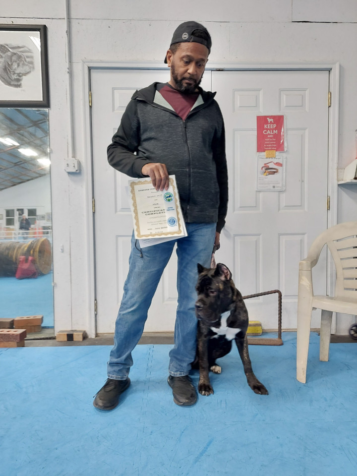 Advanced Puppy and Novice Trick Dog grads