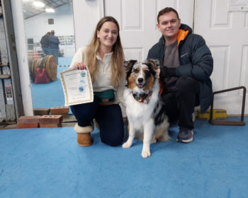 Advanced Puppy and Novice Trick Dog grads