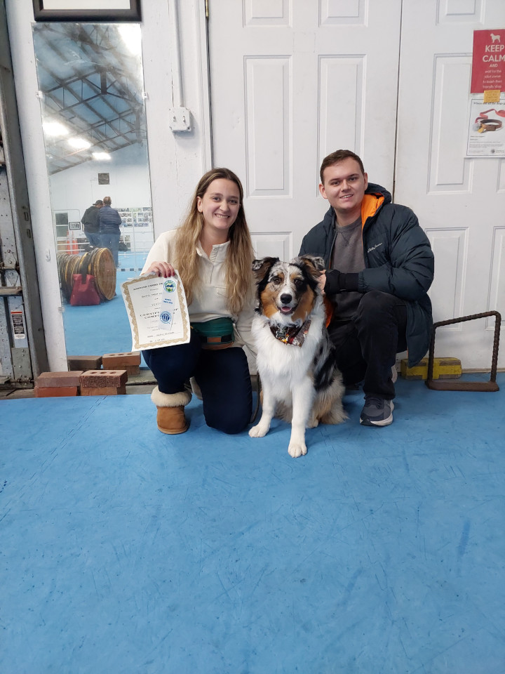 Advanced Puppy and Novice Trick Dog grads