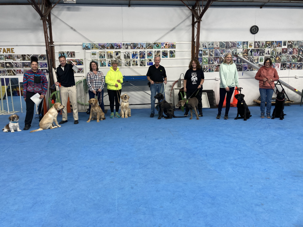 Puppy Kindergarten