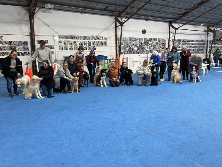 Puppy Kindergarten Graduates, November 2023