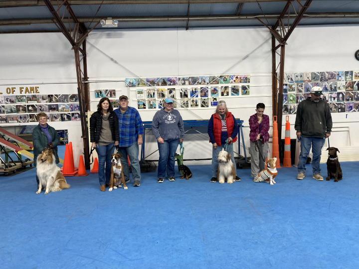 Puppy Kindergarten Graduates, November 2023