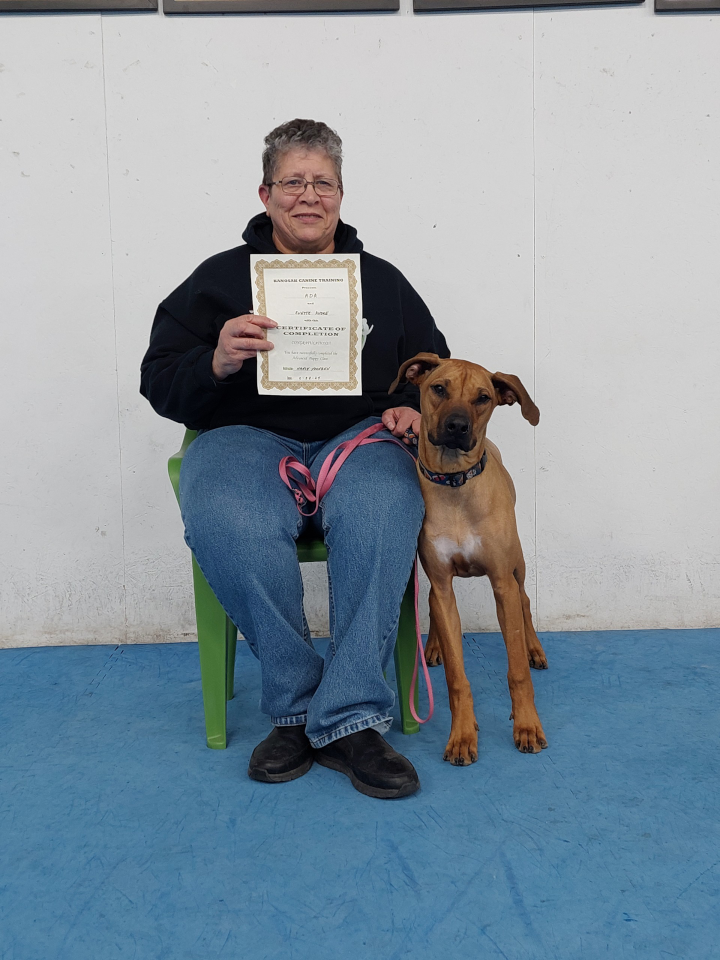 Advanced Puppy & Trick Dog Graduates (March 2024)