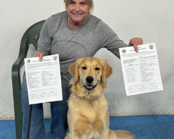 Competition Puppy Class - Trick Dog TItles