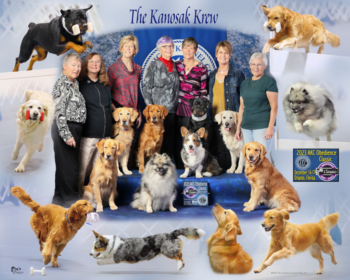 The Kanosak Krew at the 2023 AKC Obedience Classic