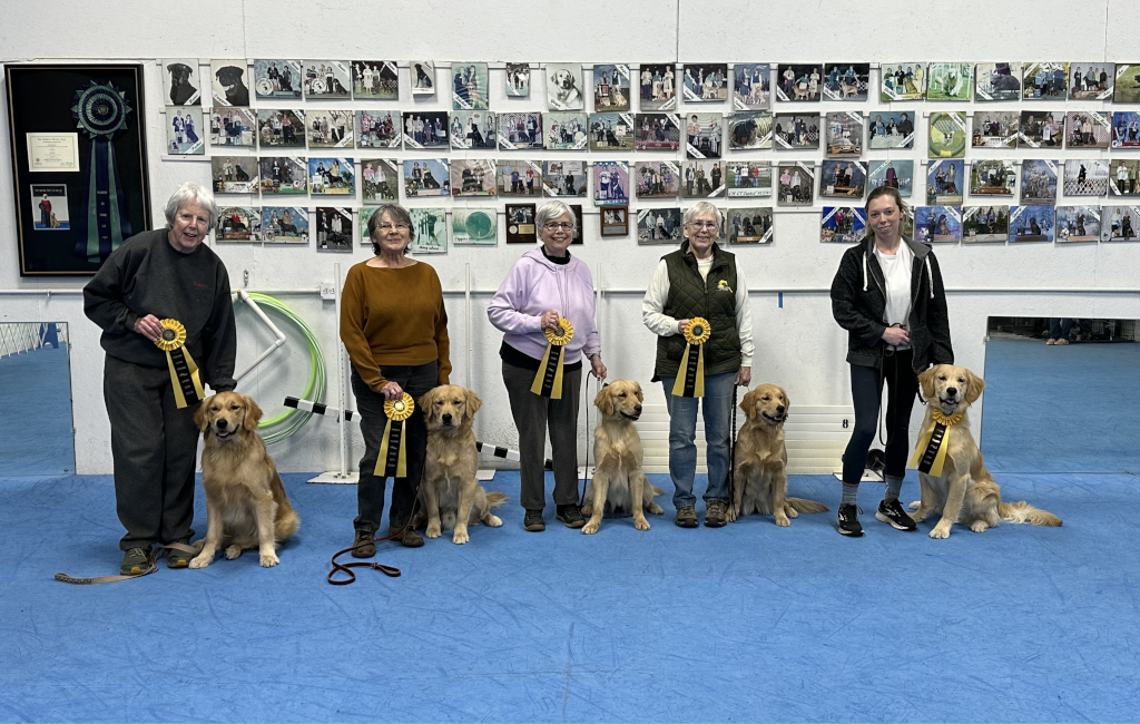 CGC Titles for the Kanosak Park Litter