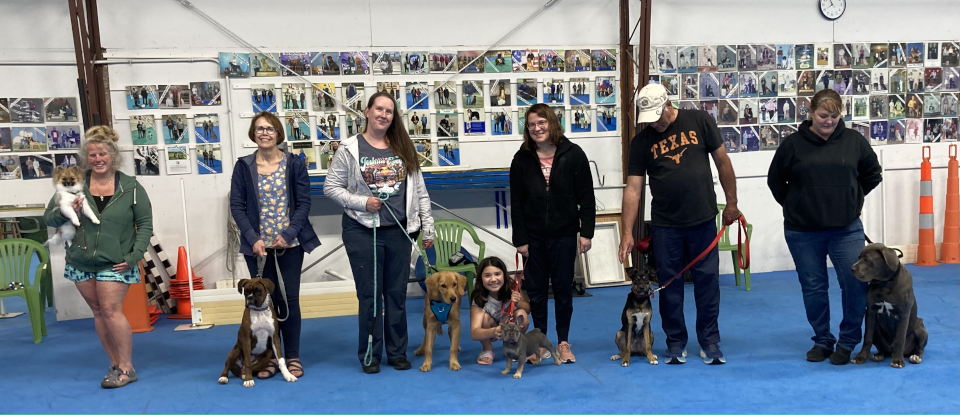 Puppy Kindergarten Graduates (May 2024)