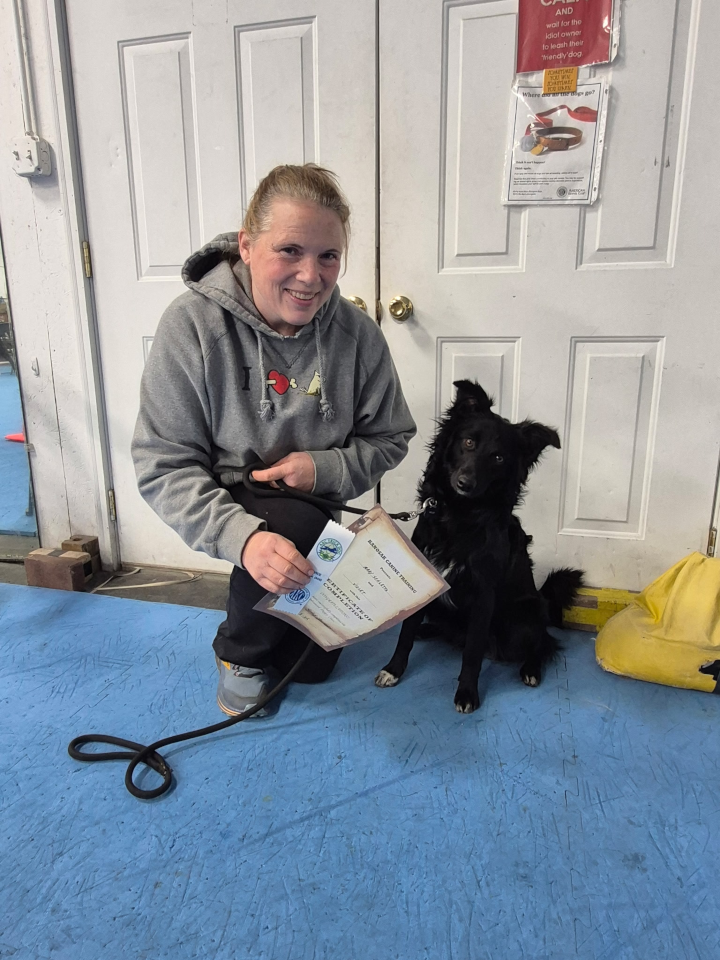 Advanced Puppy and Novice Trick Dog Graduates Advanced Puppy and Novice Trick Dog Graduates