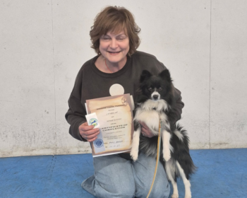 Advanced Puppy, Trick Dog Graduates - December, 2025