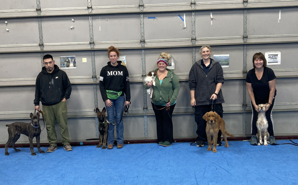 Puppy Kindergarten, December 2025